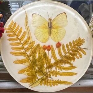 Vintage 70's Acrylic Lucite TRIVET Dried Ferns & Butterfly